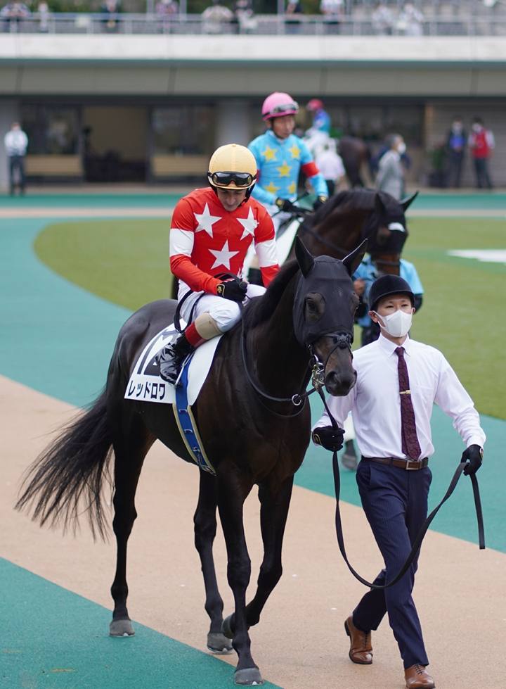 2021/10/16 3歳以上1勝クラス レッドロワ