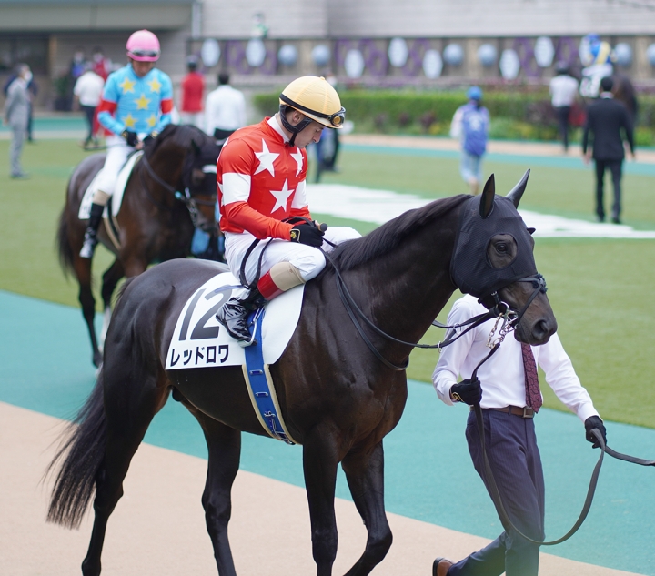 2021/10/16 3歳以上1勝クラス レッドロワ