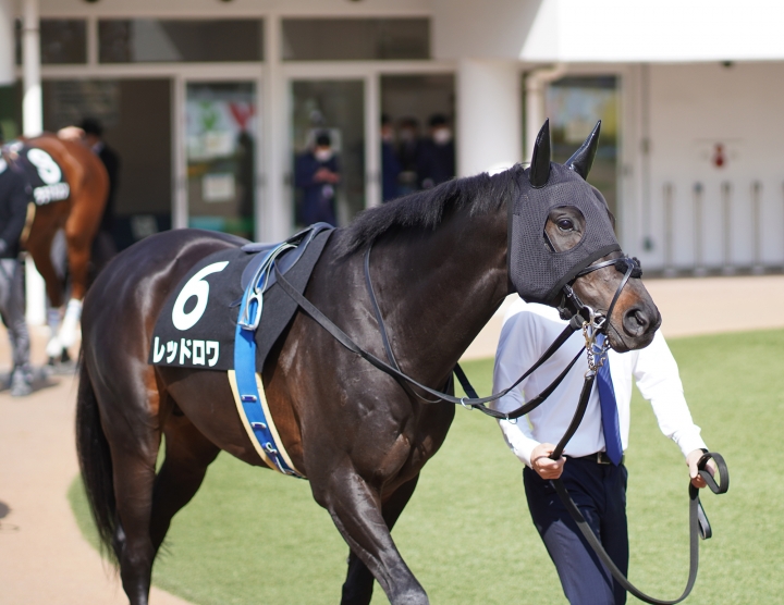 2022/3/21 隅田川特別(2勝クラス) レッドロワ