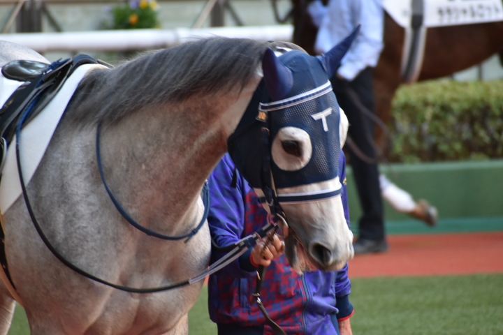 2021年11月 ルージュブラン