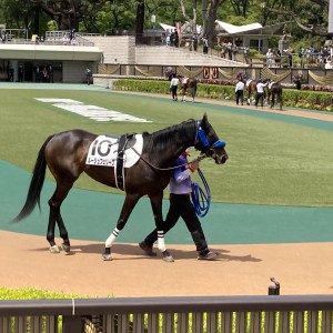 2021/4/24 3歳未勝利