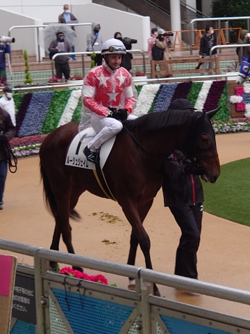 パドック ルージュジェイム