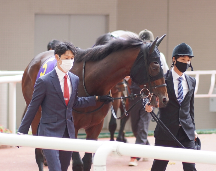2021/10/24 菊花賞(G1) レッドジェネシス