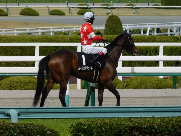 君子蘭賞 本馬場入場 ルージュアリュール