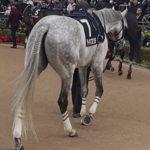 2025/12/6 イルミネーションJS(OP)