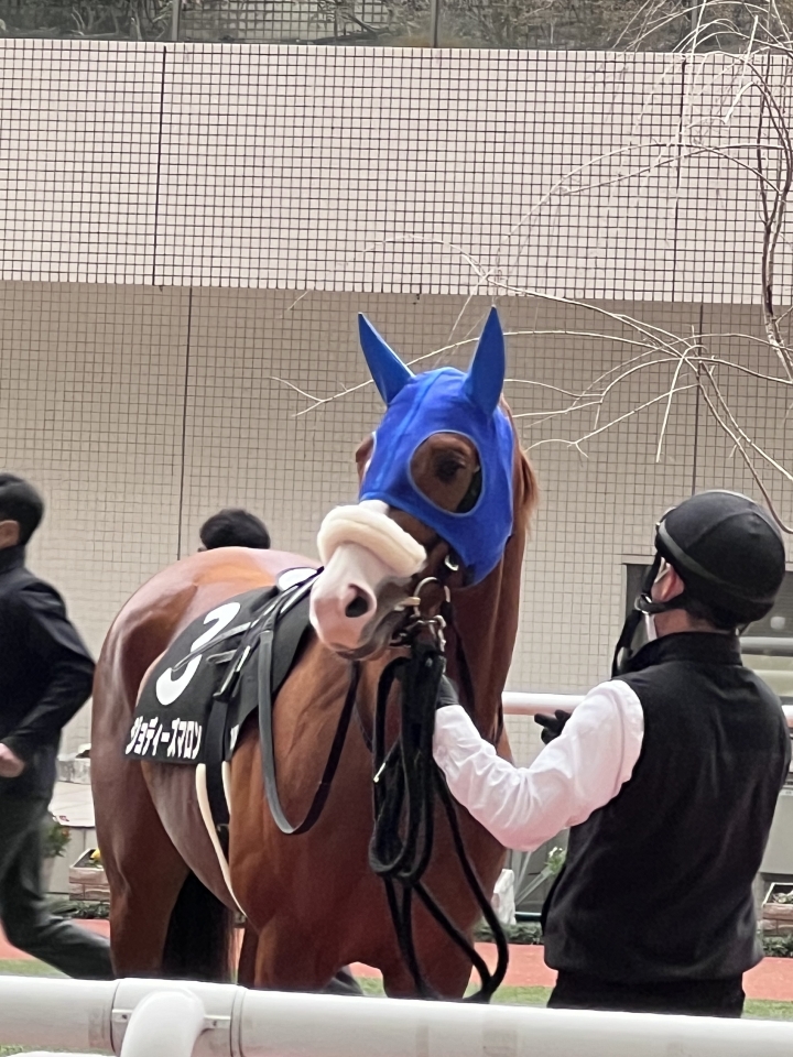 2023/2/18 播磨S(3勝クラス) ジョディーズマロン