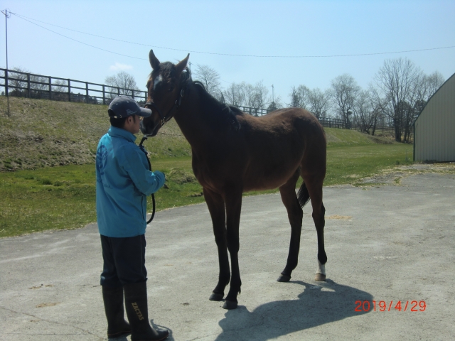 ドナテッラ by 函館レーシングクラブ ドナテッラ