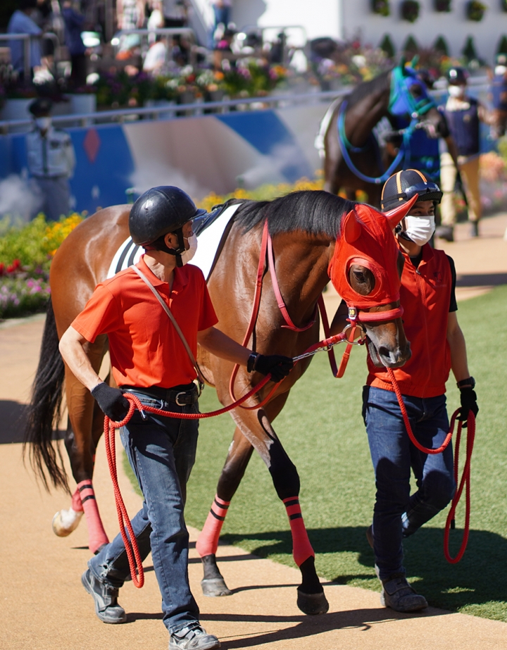 2021/9/20 3歳以上1勝クラス(牝) ドナテッラ