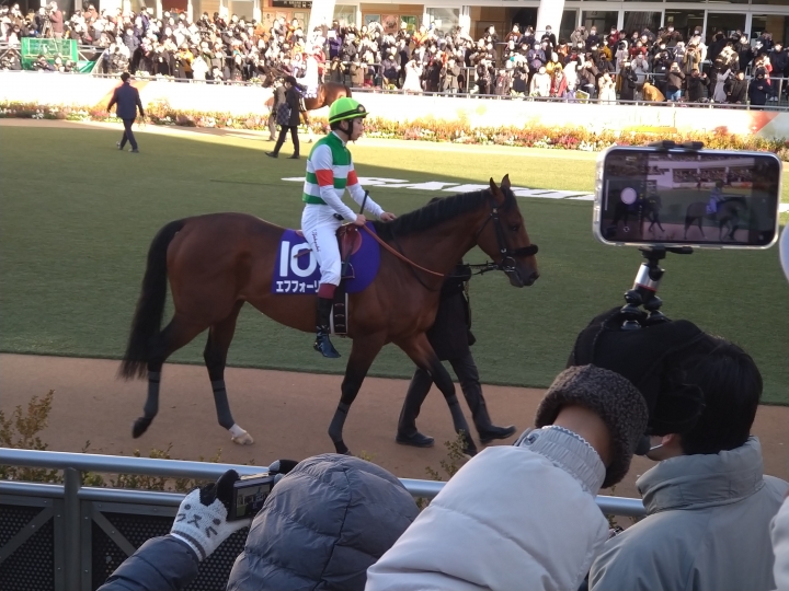 2021年12月 エフフォーリア