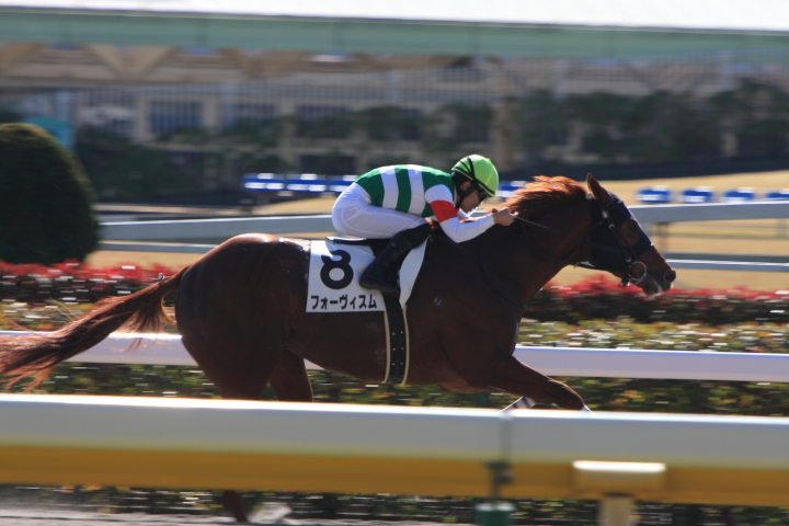 2021年11月 フォーヴィスム