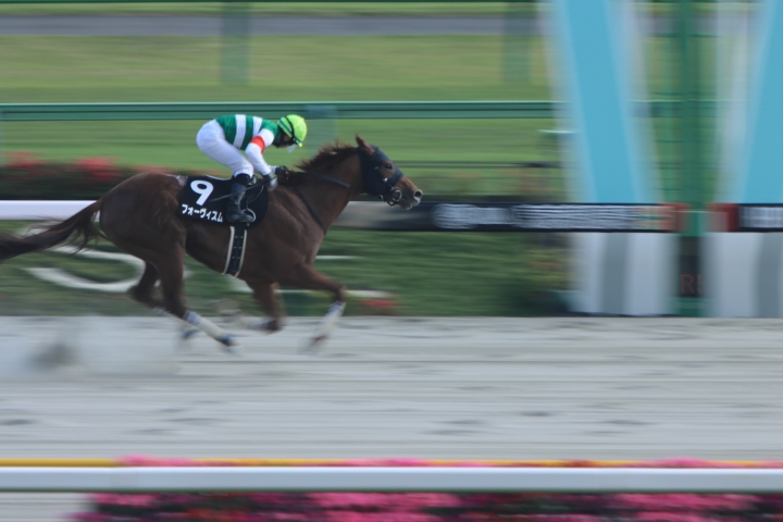 2023/4/23 鎌倉S(3勝クラス) フォーヴィスム