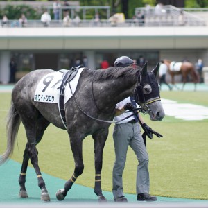 2021/4/24 3歳1勝クラス