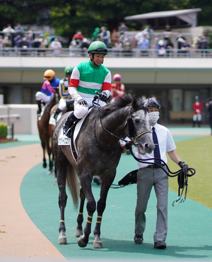 2021/4/24 3歳1勝クラス ホワイトクロウ