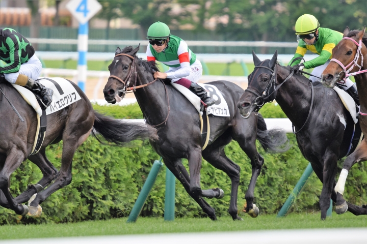 2021年6月 フェアビアンカ