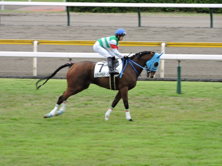 2022/5/14 4歳以上1勝クラス　返し馬 エターナルピース