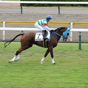 2022/5/14 4歳以上1勝クラス　返し馬