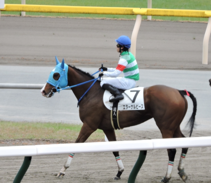 2022/5/14 4歳以上1勝クラス　お疲れさま～ エターナルピース