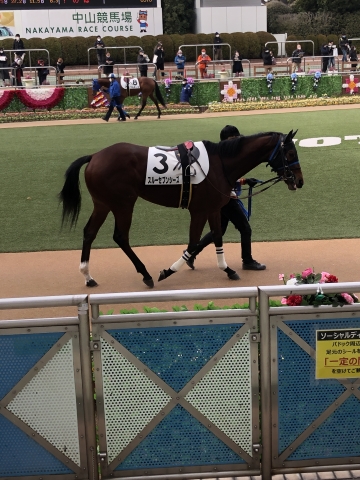 パドック スルーセブンシーズ