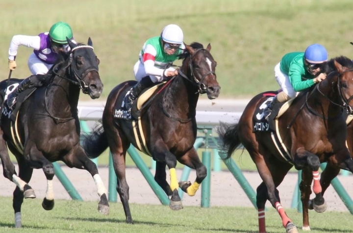 2021/10/2 関ケ原S(3勝クラス) シュヴァリエローズ