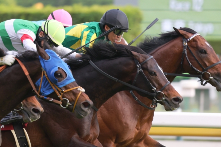 2024年5月 シュヴァリエローズ