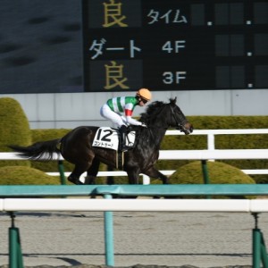 本馬場入場　返し馬