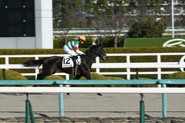 本馬場入場　返し馬 コントゥール