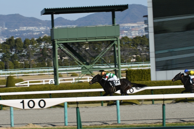 最後の直線　残り100付近 コントゥール
