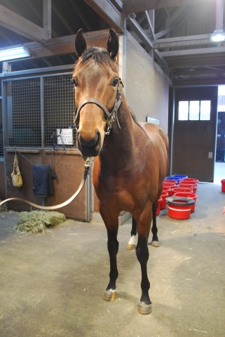ＮＦ空港にて バンベルク