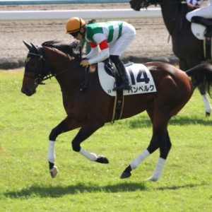 返し馬
