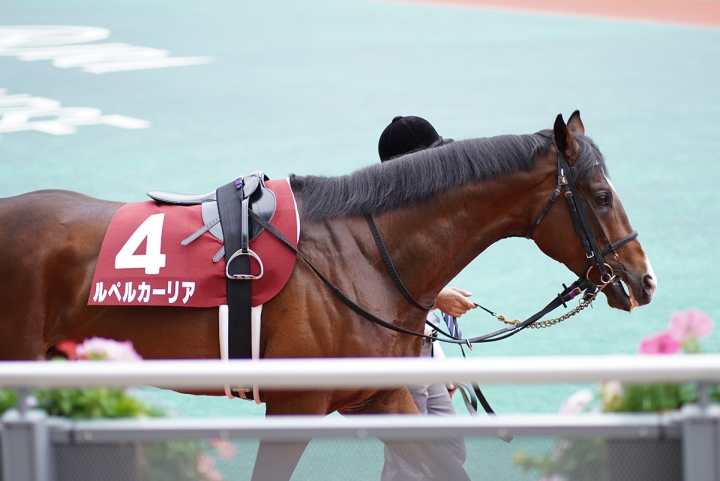 2021/5/8 京都新聞杯(G2) ルペルカーリア