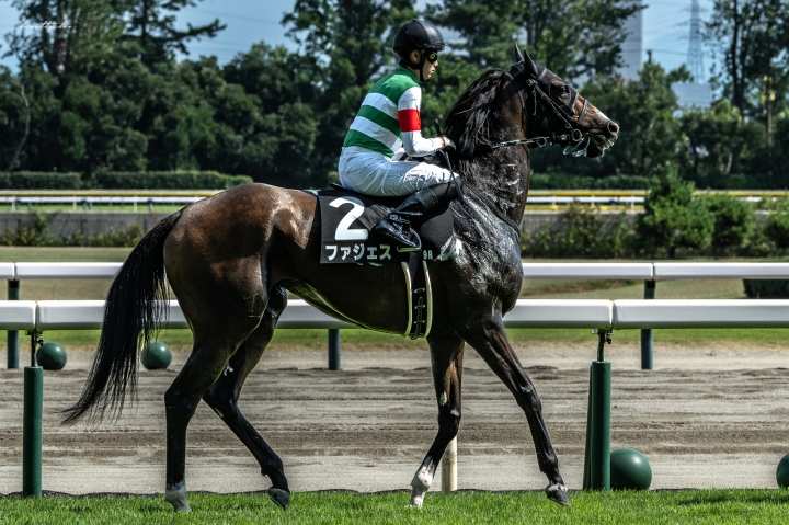 馬場入場 ファジェス