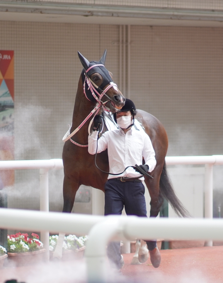 2022/6/26 3歳以上1勝クラス ビオグラフィア