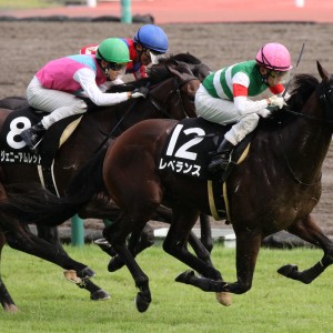 2021年9月18日 金山特別 直線