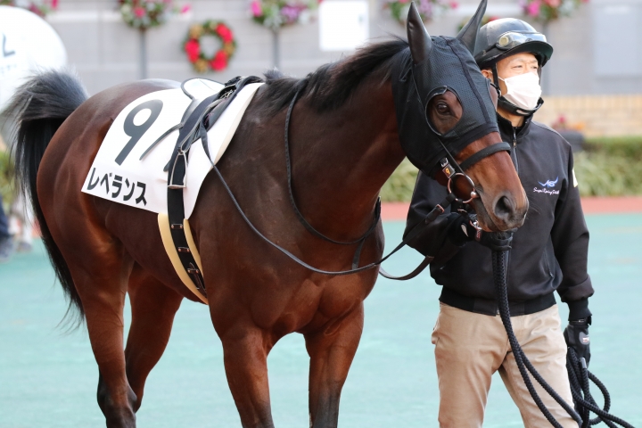 2021年12月18日　3歳以上1勝クラス　パドック レベランス