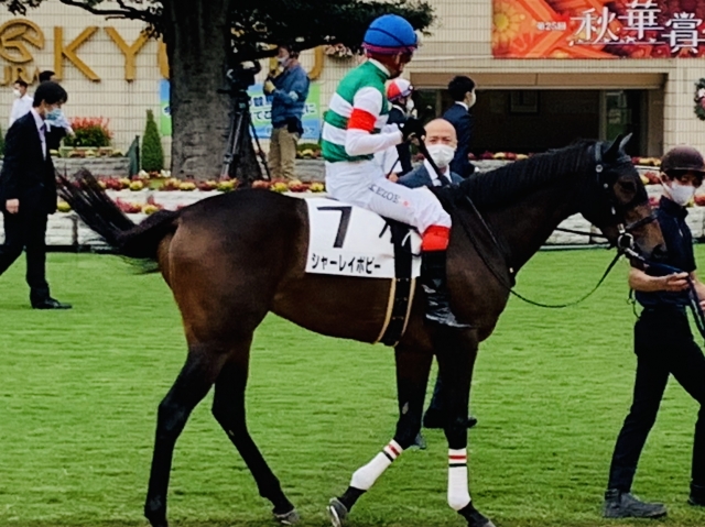 新馬戦 シャーレイポピー