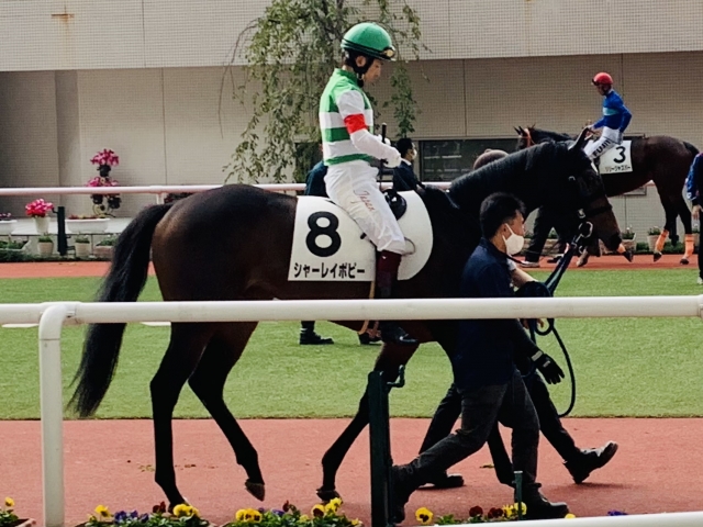 未勝利戦勝利 シャーレイポピー