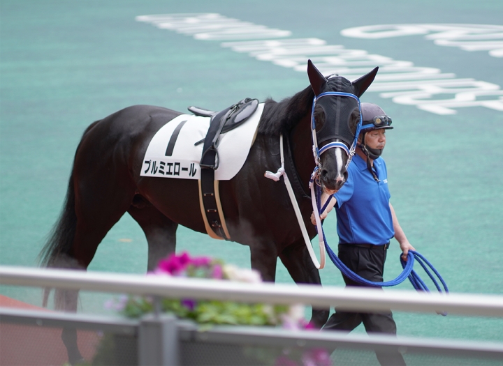 2021/5/8 3歳1勝クラス プルミエロール