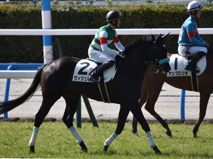 27戦目本馬場入場 ヴィジュネル