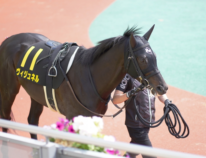 2021/5/9 橘S(OP) ヴィジュネル