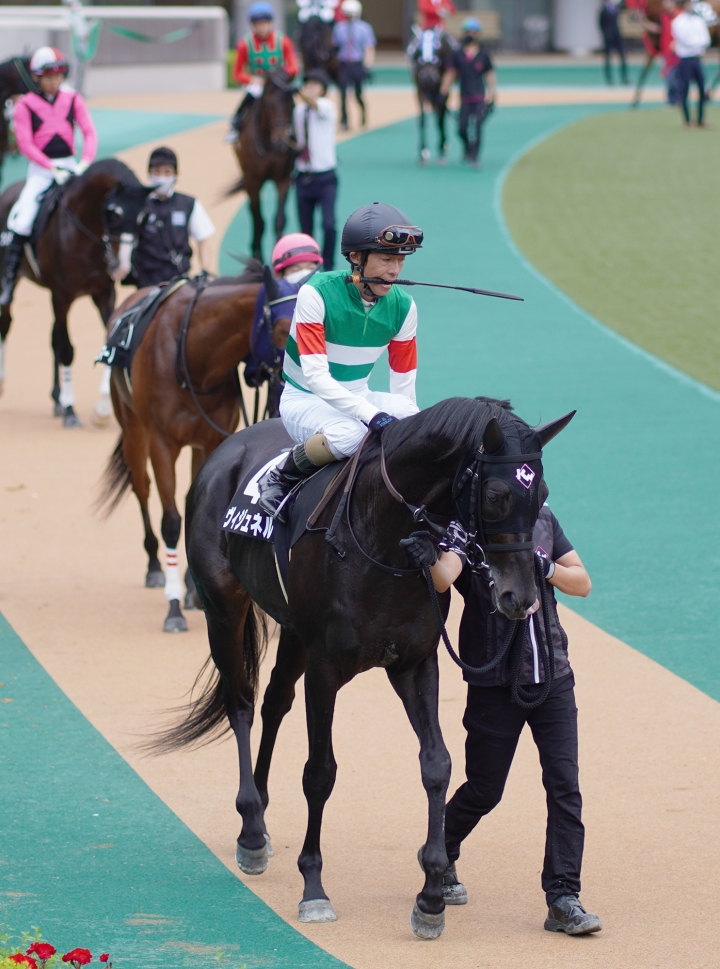 2021/10/16 白秋S(3勝クラス) ヴィジュネル