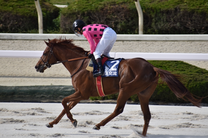 20210415　園田　広峰山特別 マクシミリアン