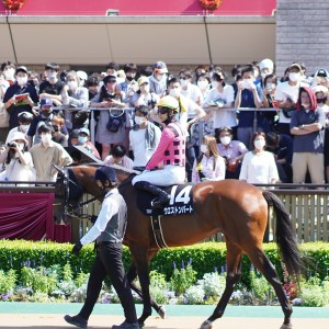 2022/5/29 むらさき賞(3勝クラス)