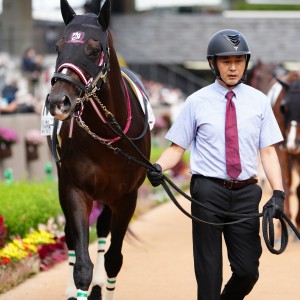 2025/10/25 3歳以上2勝クラス