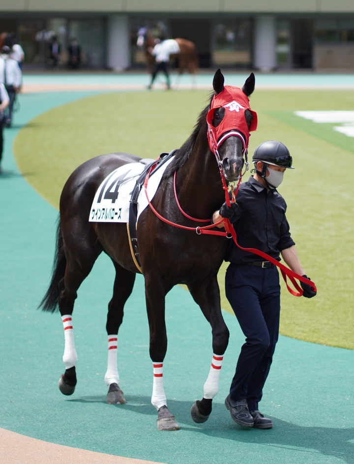 2021/4/24 3歳1勝クラス ウインアルバローズ