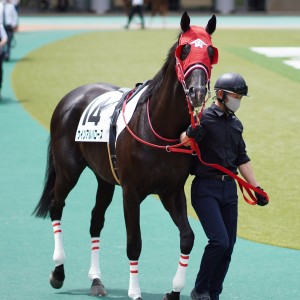 2021/4/24 3歳1勝クラス