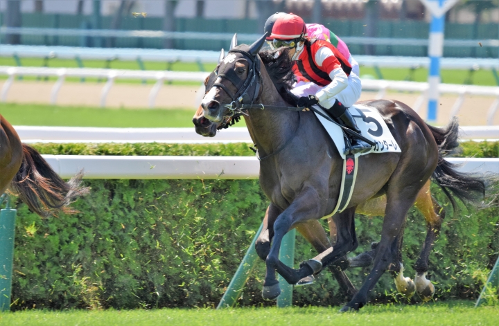 2021年6月 ウインカンターレ