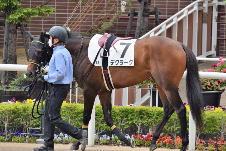 2021年6月 デクラーク