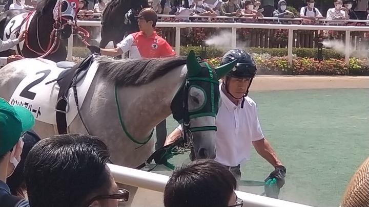 カワイイ シンシアハート