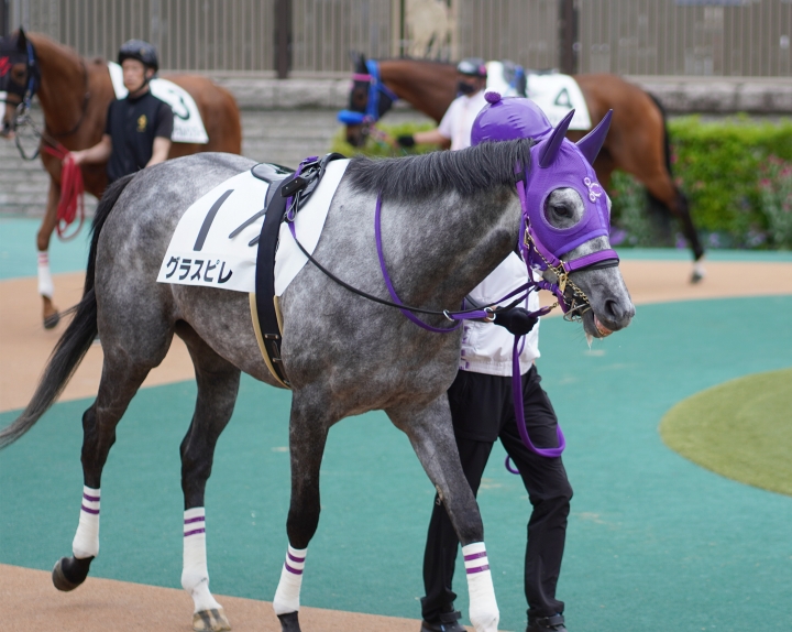 2022/5/15 4歳以上1勝クラス(牝) グラスピレ