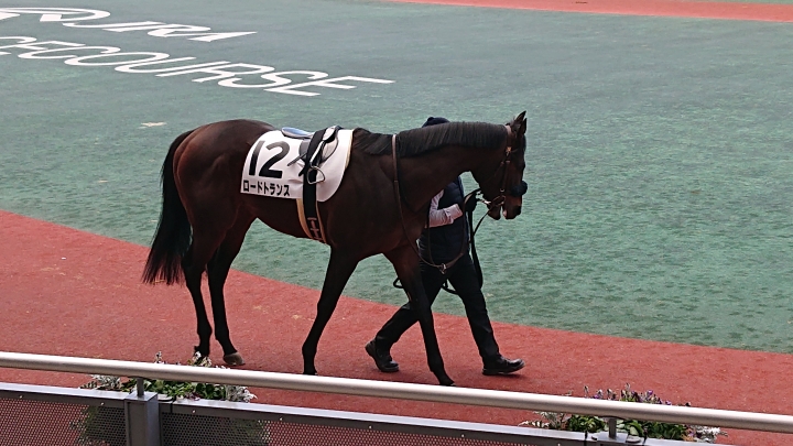 2021年1月 ロードトランス